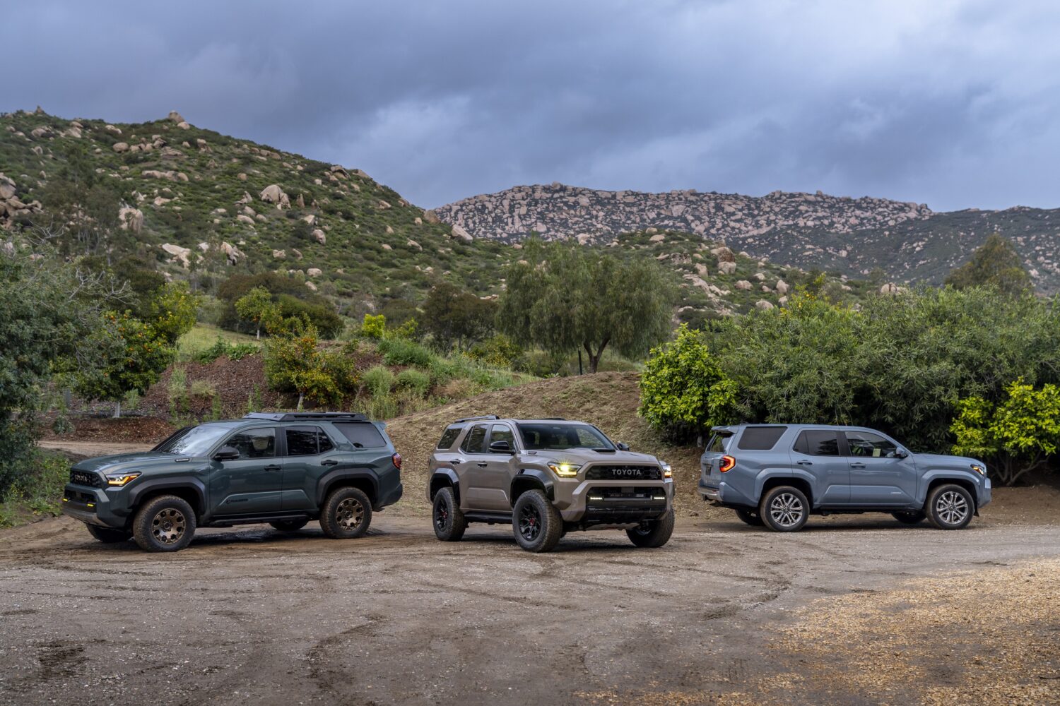 2025 Toyota 4Runner. Three different trims together. Image courtesy of Toyota.