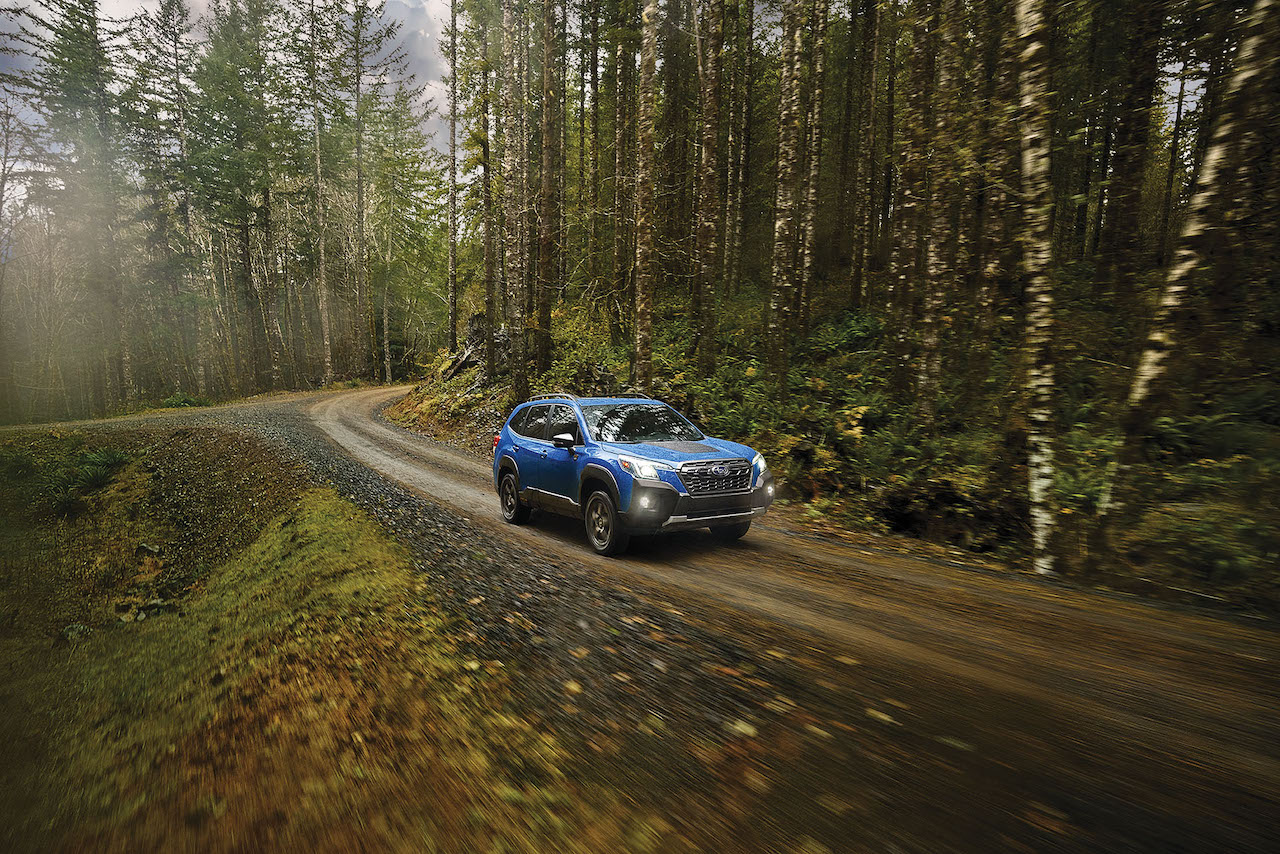 Bounce Over Whatever Terrain in the Latest Forester Wilderness